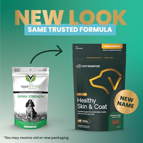 VetriScience Healthy Skin & Coat Chews, Derma Strength Omega-3 Salmon Oil Supplement for Dogs, Omega Skin and Coat Chews, Skin Health, Coat Growth, Fish Oil and Vitamin E, Veggie, 70 Count
