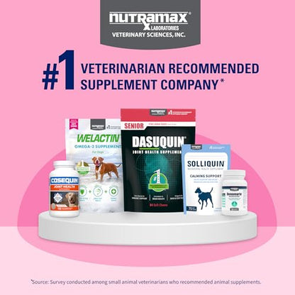 Nutramax Proviable Digestive Health Supplement Kit with Multi-Strain Probiotics and Prebiotics for Cats and Small Dogs, With 7-Strains of Bacteria, 15 mL Paste and 10 Capsules