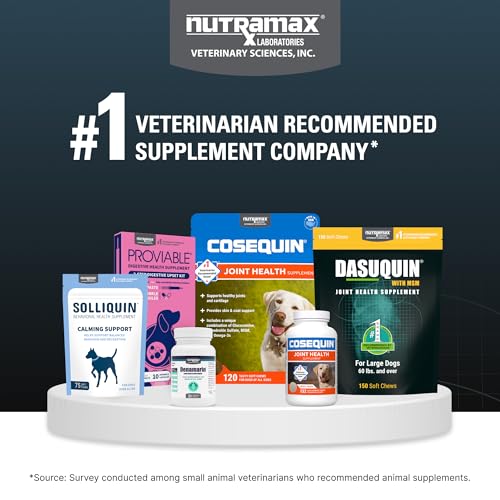 Nutramax Dasuquin Joint Health Supplement for Large Dogs - With Glucosamine, Chondroitin, ASU, MSM, Boswellia Serrata Extract, Green Tea Extract, 84 Soft Chews