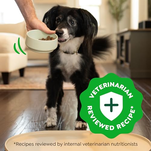 Greenies Smart Essentials Adult High Protein Dry Dog Food Real Chicken & Rice Recipe, 15 lb. Bag
