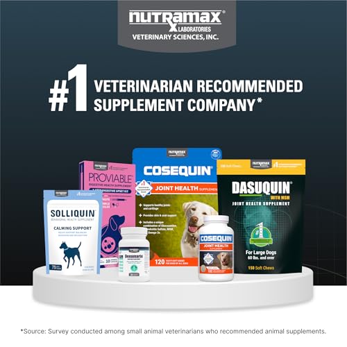 Nutramax Dasuquin for Small to Medium Dogs, Joint Health Supplement, Contains Glucosamine for Dogs, Plus Chondroitin, ASU and More, Supports Healthy Joints, Chewable Tablets, 84 Count