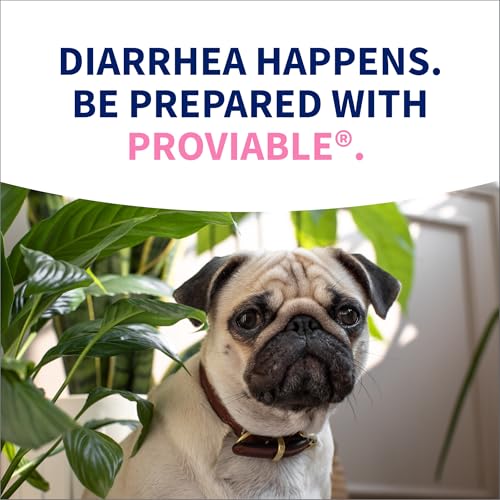 Nutramax Proviable Digestive Health Supplement Kit with Multi-Strain Probiotics and Prebiotics for Cats and Small Dogs, With 7-Strains of Bacteria, 15 mL Paste and 10 Capsules
