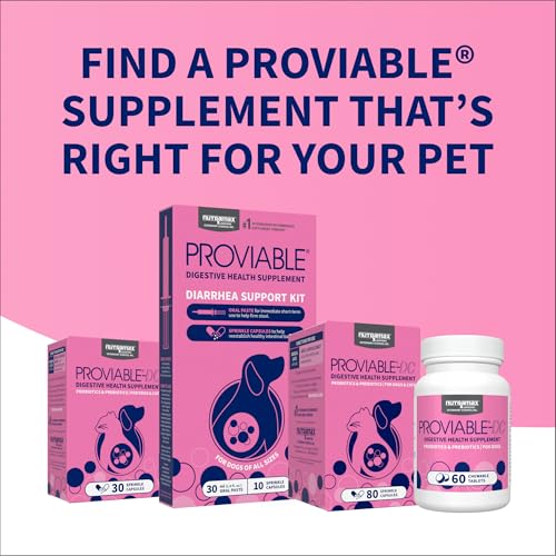 Nutramax Proviable Digestive Health Supplement Kit with Multi-Strain Probiotics and Prebiotics for Cats and Small Dogs, With 7-Strains of Bacteria, 15 mL Paste and 10 Capsules