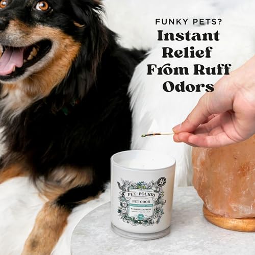 Poo-Pourri Pawsitively Fresh Pet Deodorizer Candle – Pet Safe Plant Based Ingredients & Wax – Vet Approved – Aromatherapy & Air Freshener for Pet Odor – Scented with Pineapple, Jasmine, & Pear