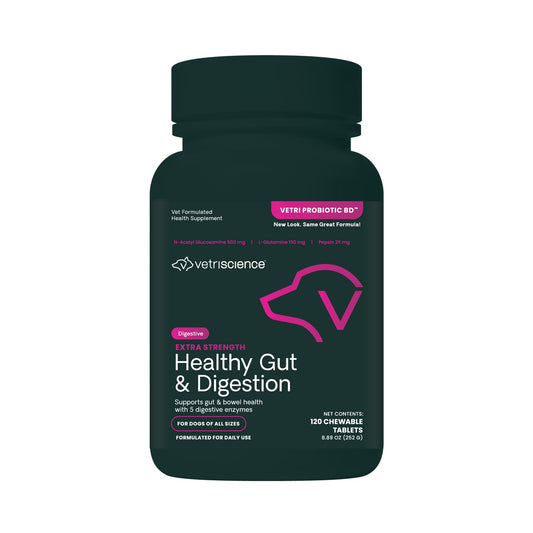 VetriScience Extra Strength Healthy Gut & Digestion Chewable Tablets, Probiotic BD Digestive Enzyme Supplement for Dogs, Probiotics and Enzymes Soothe Gut and Bowel Discomfort, Chicken, 120 Count
