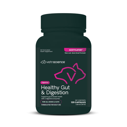 VetriScience Healthy Gut & Digestion Easy-Open Capsules, Acetylator Digestive Enzyme Supplement for Dogs and Cats, Probiotics and Enzymes, Soothe Gut and Bowel Discomfort, 120 Count