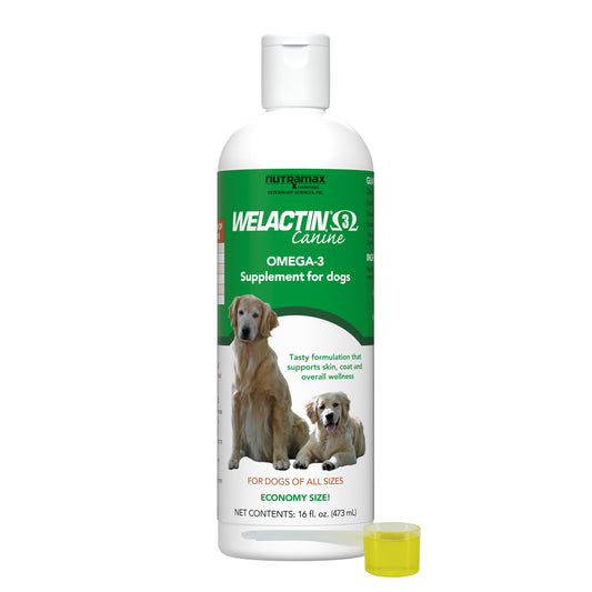 Nutramax Welactin Omega-3 Fish Oil Skin and Coat Health Supplement Liquid for Dogs - 16 Ounce