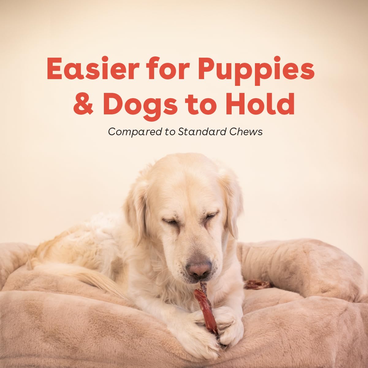 Pupford Bully Stick Rings for Puppies & Dogs, Long-Lasting Beef Dog Chew Treats, 3 Pack