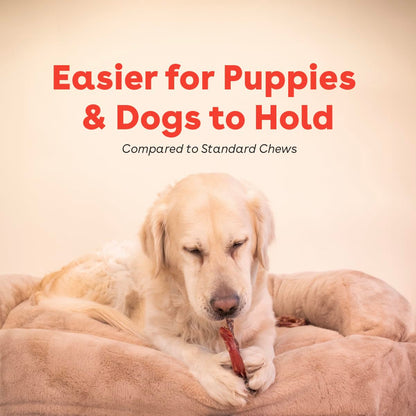 Pupford Bully Stick Rings for Puppies & Dogs, Long-Lasting Beef Dog Chew Treats, 3 Pack
