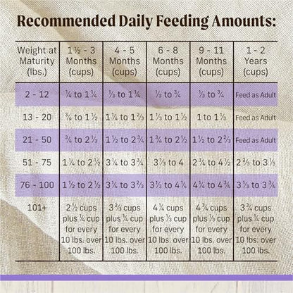 Merrick Healthy Grains Freeze Dried Raw Coated Kibble, Natural High Protein Puppy Food, Chicken and Brown Rice - 22.0 lb. Bag