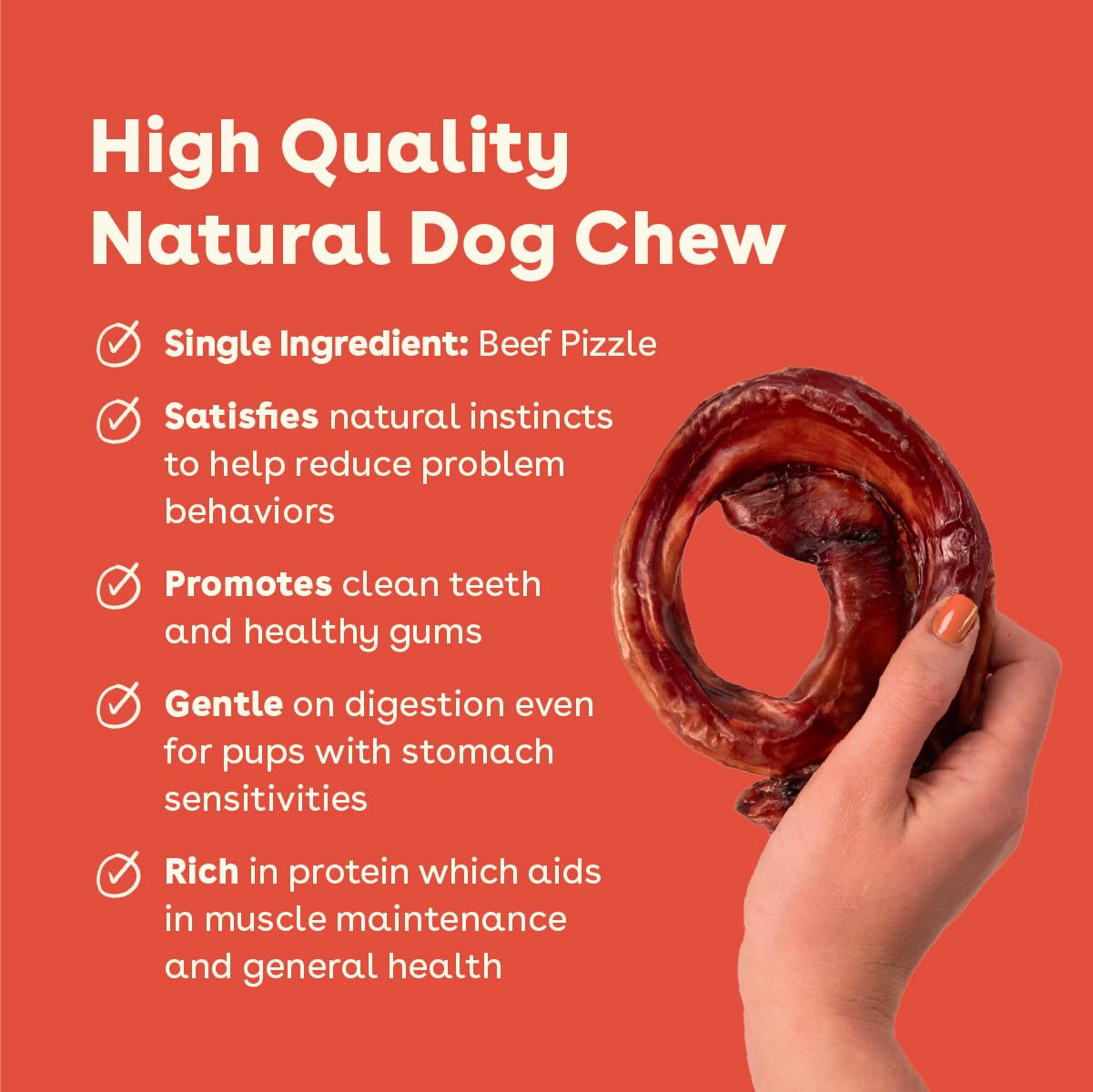 Pupford Bully Stick Rings for Puppies & Dogs, Long-Lasting Beef Dog Chew Treats, 3 Pack