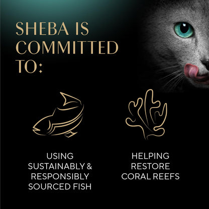 Sheba Perfect Portions Wet Cat Food Cuts in Gravy Variety Pack, Roasted Chicken Entree, with Sustainable Salmon, and Tender Turkey Entree, 2.6 oz. Twin-Pack Trays (24 Count, 48 Servings)
