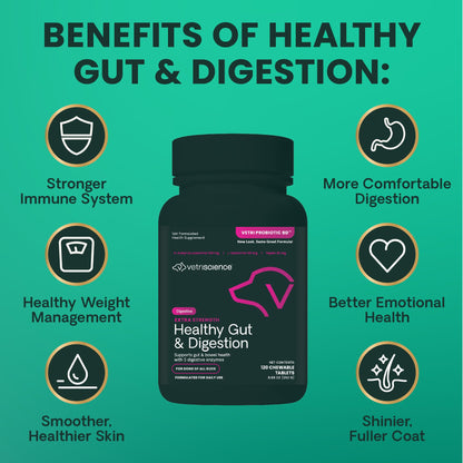 VetriScience Extra Strength Healthy Gut & Digestion Chewable Tablets, Probiotic BD Digestive Enzyme Supplement for Dogs, Probiotics and Enzymes Soothe Gut and Bowel Discomfort, Chicken, 120 Count