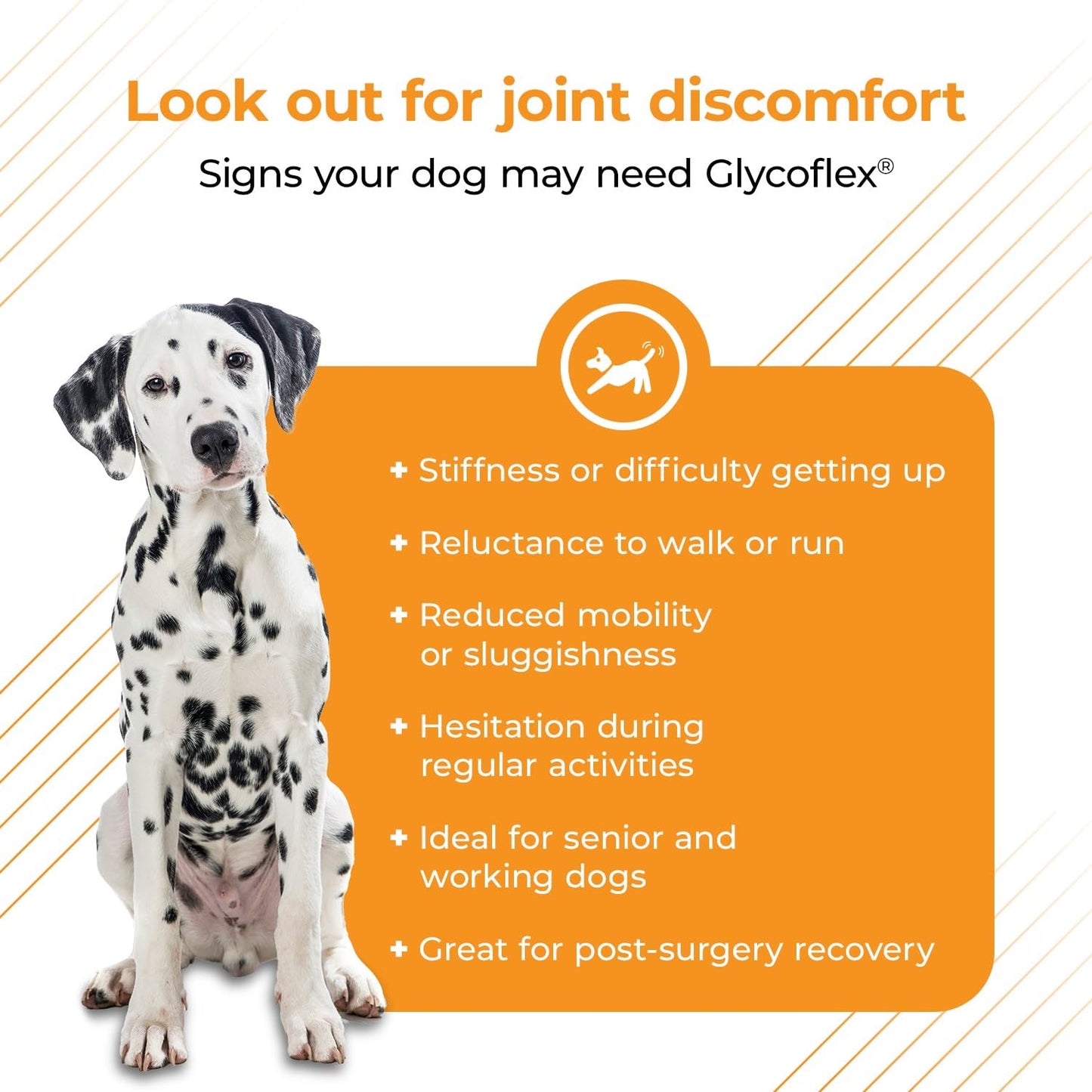 VetriScience Glycoflex 3 Clinically Proven Hip and Joint Supplement for Dogs - Maximum Strength Dog Supplement with Glucosamine, MSM, Green Lipped Mussel & DMG - 120 Chewable Tablets, Chicken Flavor