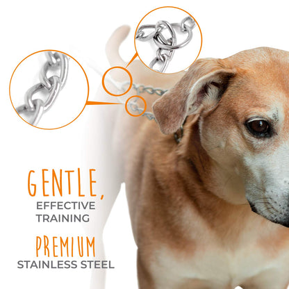 Mighty Paw Martingale Training Dog Collar - Modified Slip Chain - Trainer Approved - No More Pulling - for All Breed Sizes - No Pulling Dog Collar - Stainless Chain - Martingale - (20")