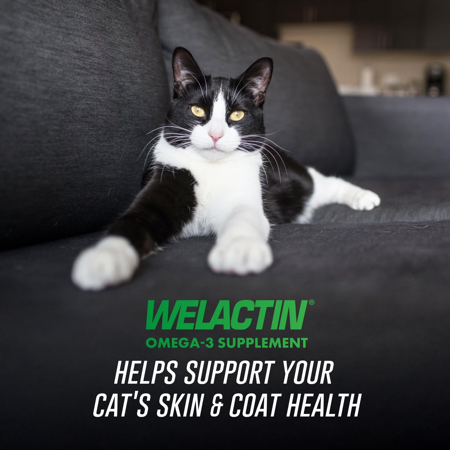 Nutramax Welactin Omega 3 Fish Oil for Cats, Skin and Coat Health Supplement, Plus Kidney, Brain, and Vision Support, Premium Omega 3 Fatty Acids EPA and DHA, 4 Ounce Liquid