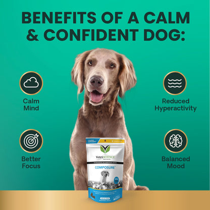 VetriScience Calm & Confident Chews, Composure Clinically Tested Calming and Anxiety Supplement for Dogs, Reduce Stress and Fear, Ideal for Thunderstorms, Fireworks and Travel, Bacon, 120 Count