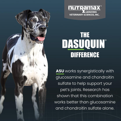 Nutramax Dasuquin Joint Health Supplement for Large Dogs - With Glucosamine, Chondroitin, ASU, MSM, Boswellia Serrata Extract, Green Tea Extract, 84 Soft Chews