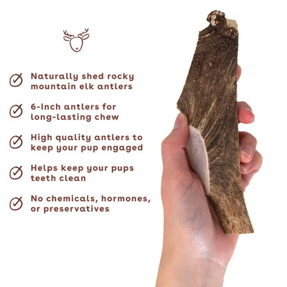 Pupford Split Elk Antlers, Durable & Tough Natural Chew Toy, Long Lasting, Cleans Teeth, 5-8” Long (1 Count)
