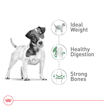 Royal Canin Size Health Nutrition Small Adult Dry Dog Food, 14 lb bag