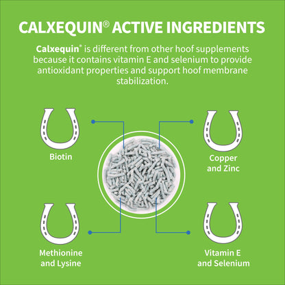 Nutramax Calxequin Pellets Daily Hoof Support for Horses with Biotin, Vitamin E, & Selenium, 1260 Grams, from The Makers of Cosequin