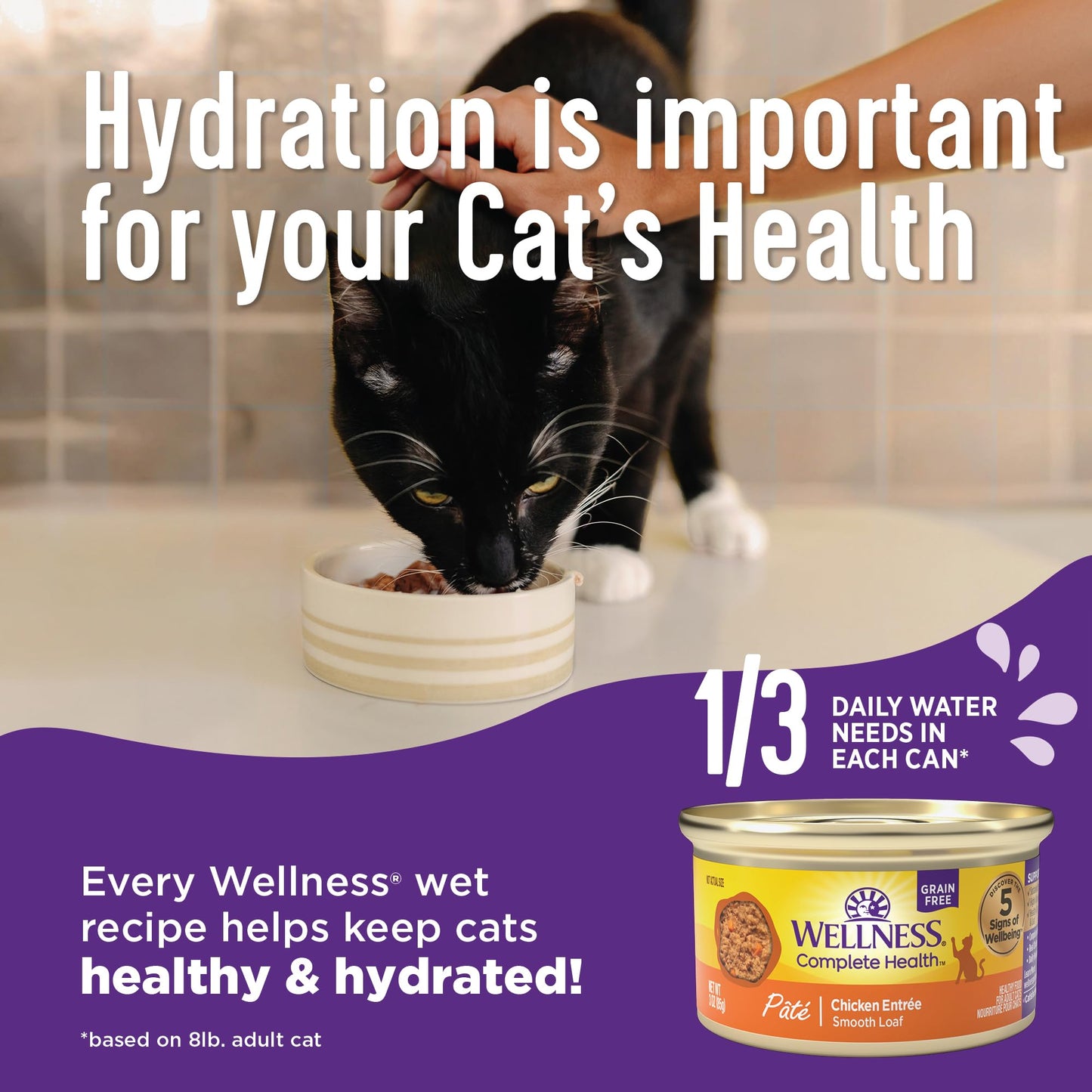 Wellness Complete Health Pate Adult Wet Cat Food, Natural, Protein-Rich, Grain Free, 5.5 Ounce, 24 Pack, (Turkey)