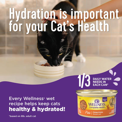 Wellness Complete Health Pate Adult Wet Cat Food, Natural, Protein-Rich, Grain Free, 5.5 Ounce, 24 Pack, (Turkey)