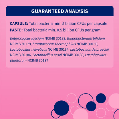 Nutramax Proviable Digestive Health Supplement Kit with Multi-Strain Probiotics and Prebiotics for Cats and Small Dogs, With 7-Strains of Bacteria, 15 mL Paste and 10 Capsules