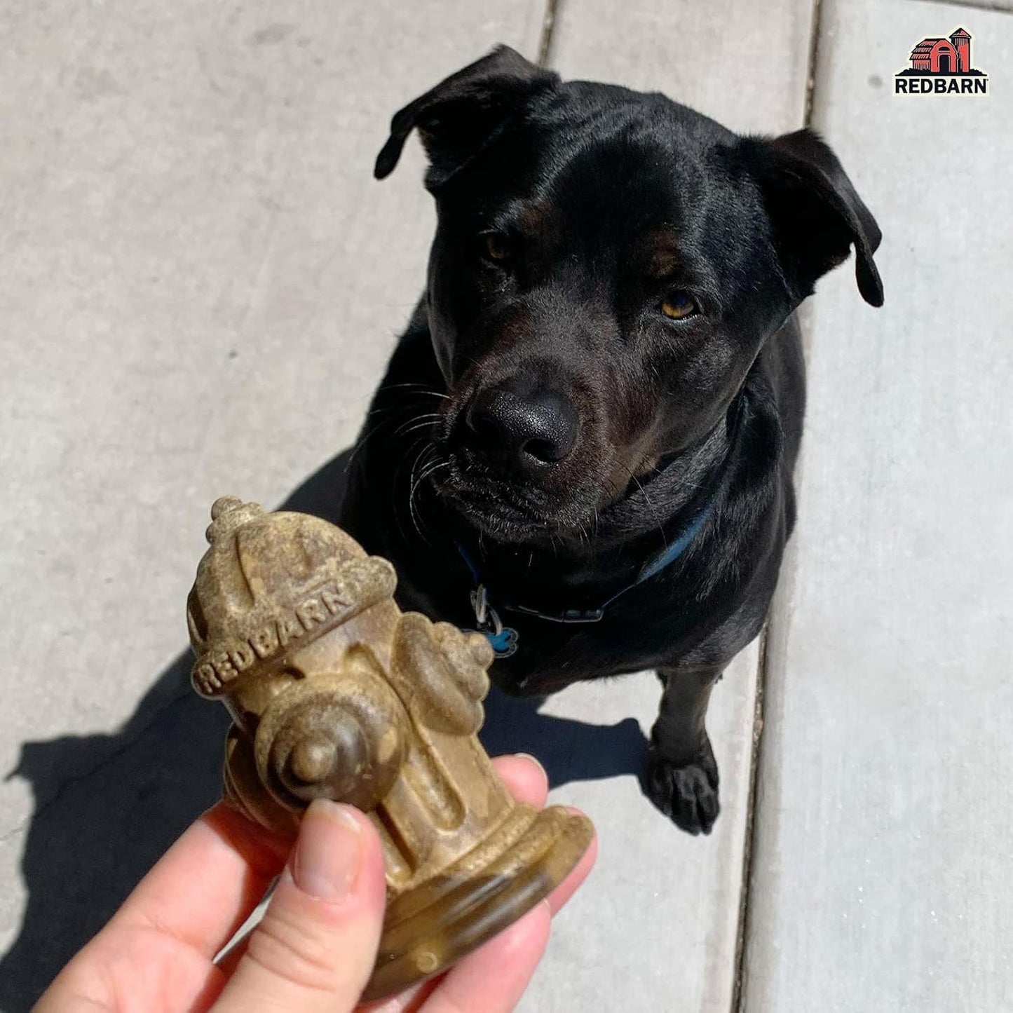 Redbarn Chew-A-Bulls (Size: Small, Shape: Hydrant, 24-Count (Pack of 1))