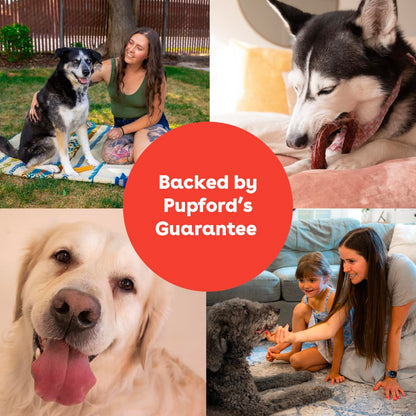 Pupford Bully Stick Rings for Puppies & Dogs, Long-Lasting Beef Dog Chew Treats, 3 Pack