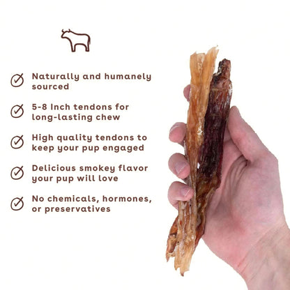 Pupford Standard Beef Tendon Chews for Dogs & Puppies, All-Natural Dog Chew with Glucosamine for Joint Health, Long-Lasting Toy, Great for Teething (10 Count)