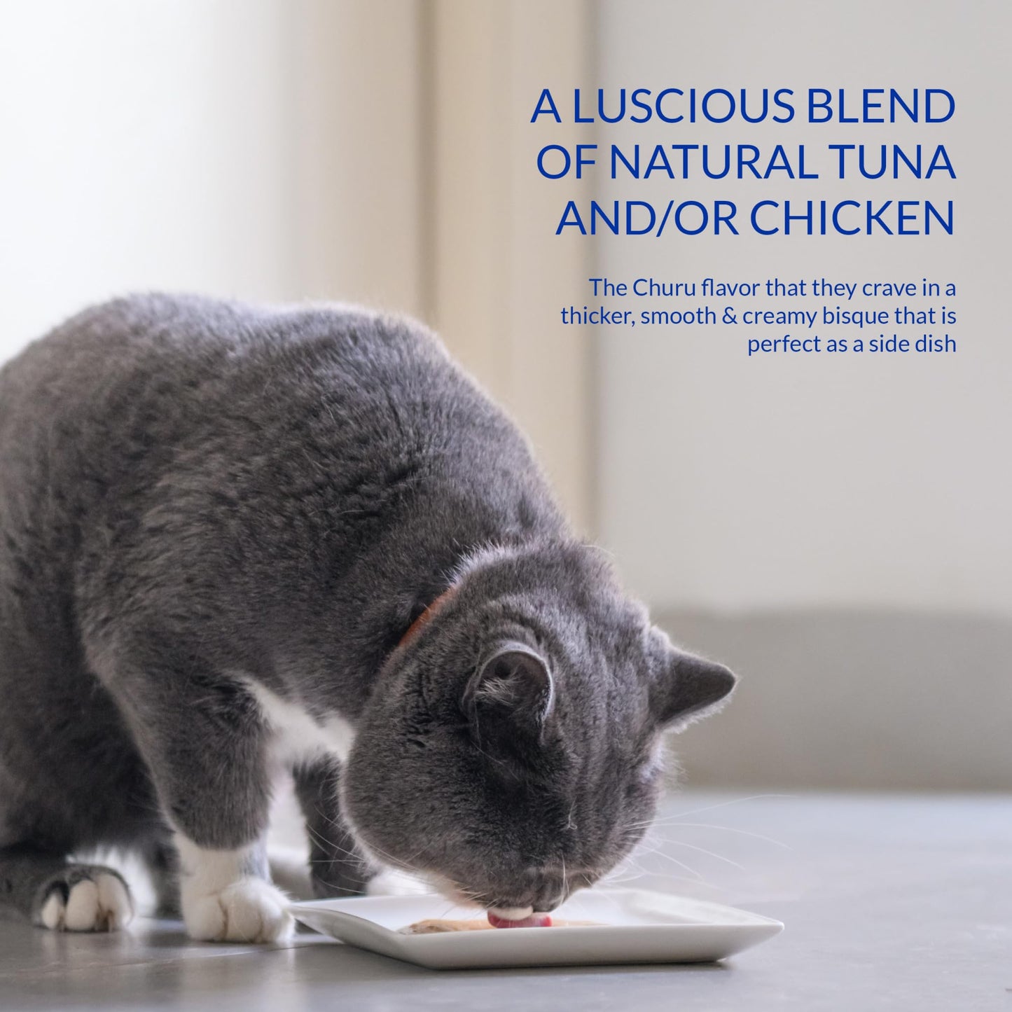 INABA Churu Bisque Lickable Treats for Cats, Creamy Purée Bisque with Vitamin E & Green Tea Extract, 1.4 Ounces per Pouch, 6 Pouches Total, Chicken with Beef Recipe