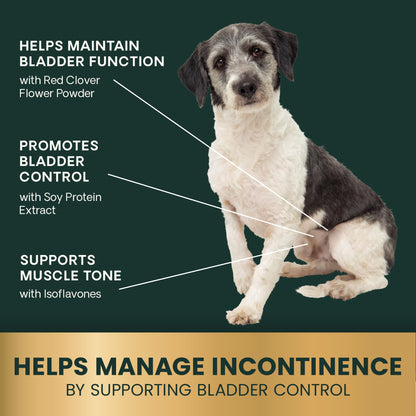 VETRISCIENCE Bladder Health Chews, Vetri Bladder Supplement for Dogs, Incontinence Support, Reduce Urine Leakage and Overactive Bladder, Soy Protein and Red Clover, Chicken, 60 Count