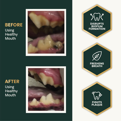 VetriScience Healthy Mouth Dog Dental Powder, Perio Support Clinically Tested Dental Powder for Dogs and Cats, Freshen Breath, Control Plaque & Tartar, Oral Health, 4.2 oz