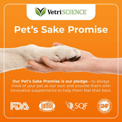 VetriScience Glycoflex 3 Clinically Proven Hip and Joint Support Supplement for Small Dogs - Maximum Strength Dog Supplement with Glucosamine, MSM, Green Lipped Mussel & DMG - 60 Chews,Chicken Flavor