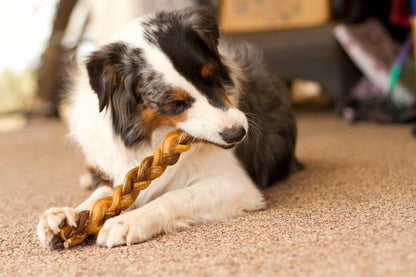 Redbarn Pet Products All-Natural 12" Braided Bully Sticks for Dogs - Premium Grain-Free & Rawhide-Free Single Ingredient Long Lasting Low Odor Dental Treat for Chewers - 2 Count