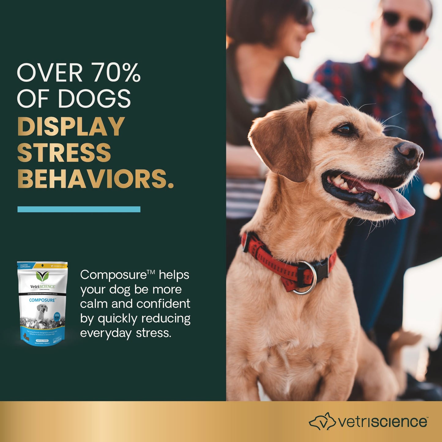 VetriScience Calm & Confident Chews, Composure Clinically Tested Calming and Anxiety Supplement for Dogs, Reduce Stress and Fear, Ideal for Thunderstorms, Fireworks and Travel, Bacon, 120 Count