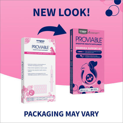 Nutramax Proviable Digestive Health Supplement Kit with Multi-Strain Probiotics and Prebiotics for Cats and Small Dogs, With 7-Strains of Bacteria, 15 mL Paste and 10 Capsules