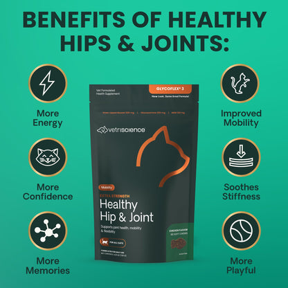VetriScience Extra Strength Healthy Hip & Joint Chews, GlycoFlex Glucosamine and Green-Lipped Mussel Joint Support Supplement for Cats, Promote Mobility and Soothe Joint Discomfort, Chicken, 60 Count