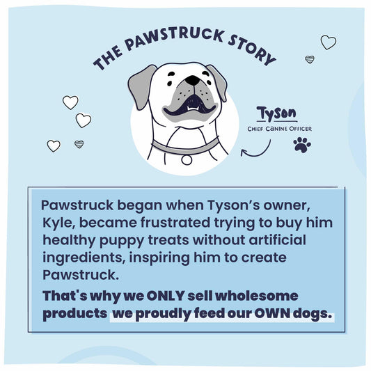 Pawstruck 2-in-1 Collagen Wrapped Jerky Natural Treats for Dogs - 5 Large Sticks - Limited Ingredient Grain Free Long Lasting for Small, Medium, and Large Dogs