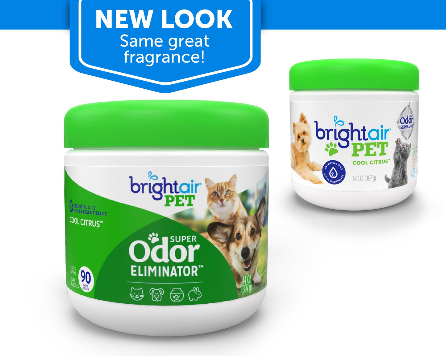 Bright Air 14 oz. Super Odor Eliminator, for Medium-Size Spaces, Cool Citrus Scent, Case of 6, Air Freshener, Natural Essential Oils, Lasts Up to 90 Days Each