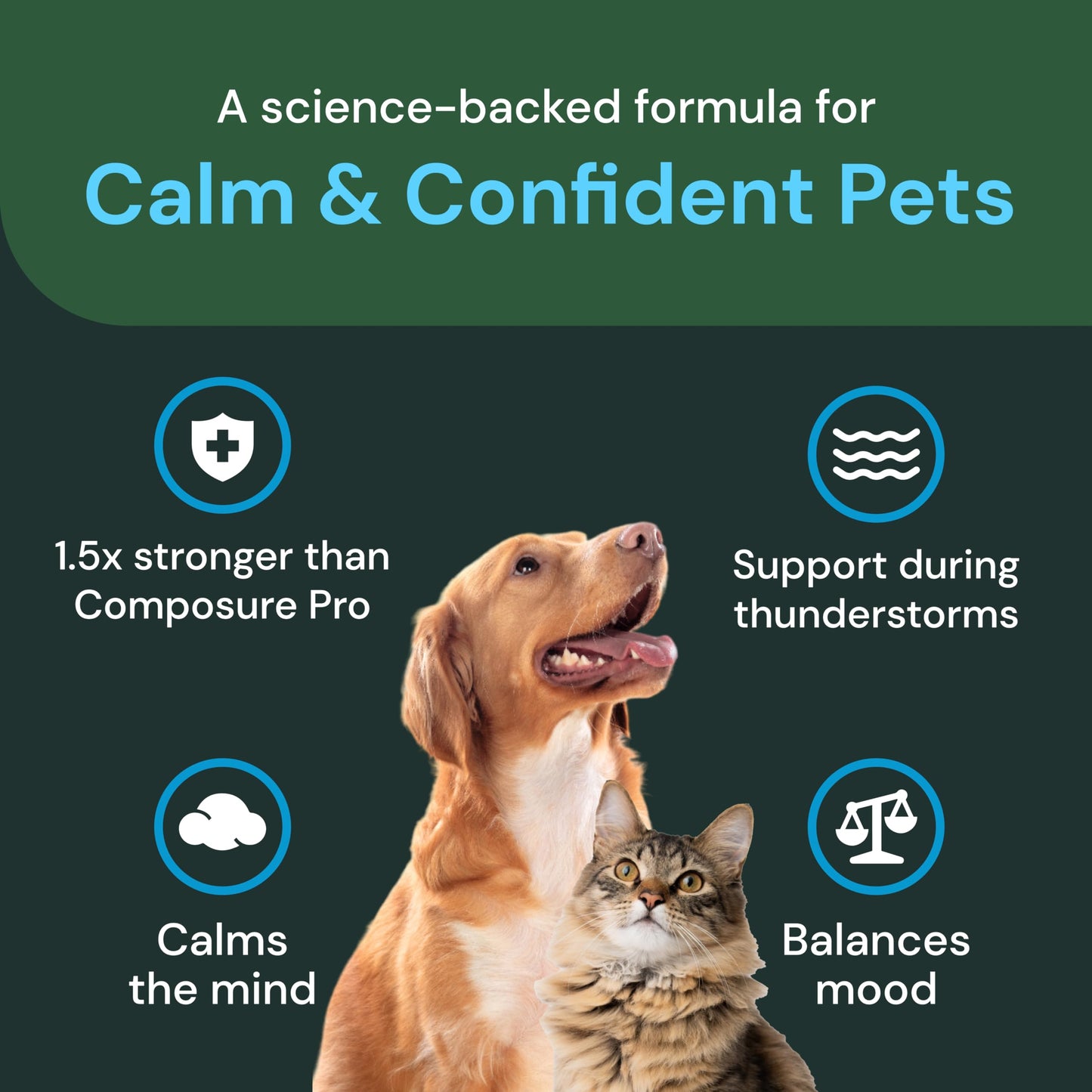 VetriScience Composure Pro Advanced - Advanced Calming Supplement for Dogs & Cats - Calming Aid Soft Chews - Chewable Calming Supplement - Advanced Calming Bite Formula - 45 Chews
