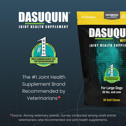 Nutramax Dasuquin Joint Health Supplement for Large Dogs - With Glucosamine, Chondroitin, ASU, MSM, Boswellia Serrata Extract, Green Tea Extract, 84 Soft Chews