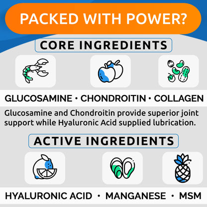 BARK&SPARK Liquid Collagen + Glucosamine for Dogs - 16 Fl Oz Easy to Serve Joint Supplement - Advanced Formula with Chondroitin, MSM, Hip & Joint + Skin & Coat Care - Made in USA