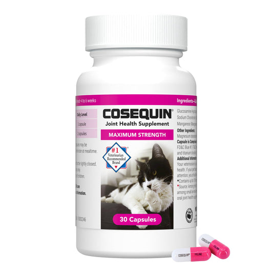 Nutramax Laboratories Cosequin 30 ct Sprinkle Capsules for Cats, 30-count