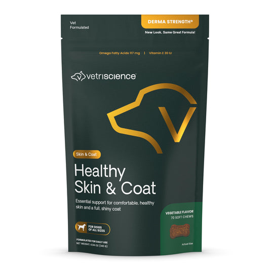 VetriScience Healthy Skin & Coat Chews, Derma Strength Omega-3 Salmon Oil Supplement for Dogs, Omega Skin and Coat Chews, Skin Health, Coat Growth, Fish Oil and Vitamin E, Veggie, 70 Count