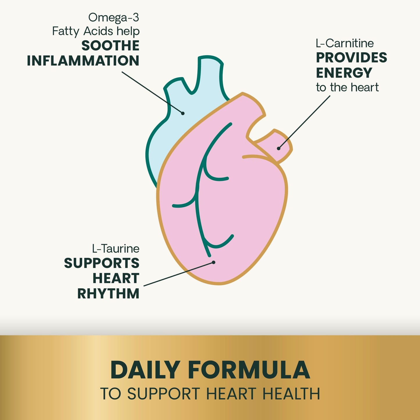 VetriScience Omega Healthy Heart Easy-Open Capsules, Cardio Strength Taurine and Omega-3 Supplement for Dogs & Cats, Heart Support Supplement, 90 Count