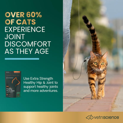 VetriScience Extra Strength Healthy Hip & Joint Chews, GlycoFlex Glucosamine and Green-Lipped Mussel Joint Support Supplement for Cats, Promote Mobility and Soothe Joint Discomfort, Chicken, 60 Count
