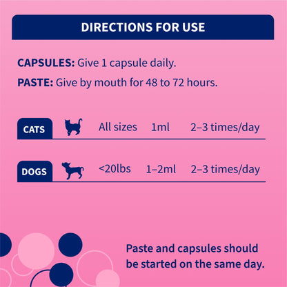 Nutramax Proviable Digestive Health Supplement Kit with Multi-Strain Probiotics and Prebiotics for Cats and Small Dogs, With 7-Strains of Bacteria, 15 mL Paste and 10 Capsules