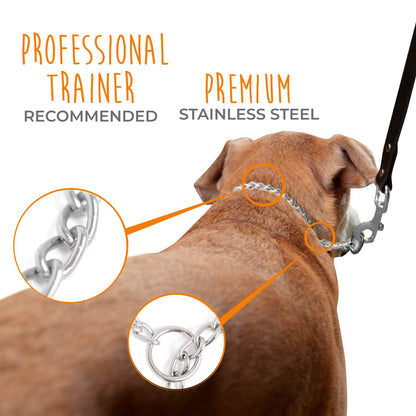 Mighty Paw Slip Collar - Stainless Steel - Weather Resistant - Tarnish Proof - Durable Chain Dog Choke Collars - No Pull Dogs Training - Strong and Premium - Metal Chain (16")